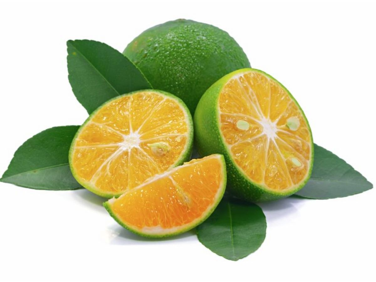 Benefits for Toothache - Photo Gallery