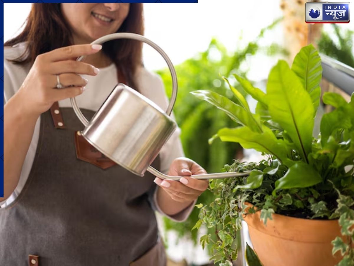 The amount of water required depends on the type of plant. - Photo Gallery