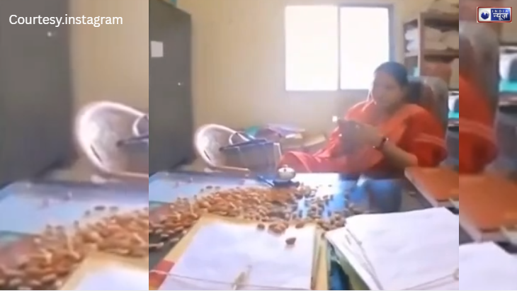 बिलासपुर में ‘गुमशुदा फाइल’ के लिए शख्स ने अफसर की मेज पर खाली कर दिया बादाम का पैकेट, अनोखे विरोध का वीडियो वायरल!
