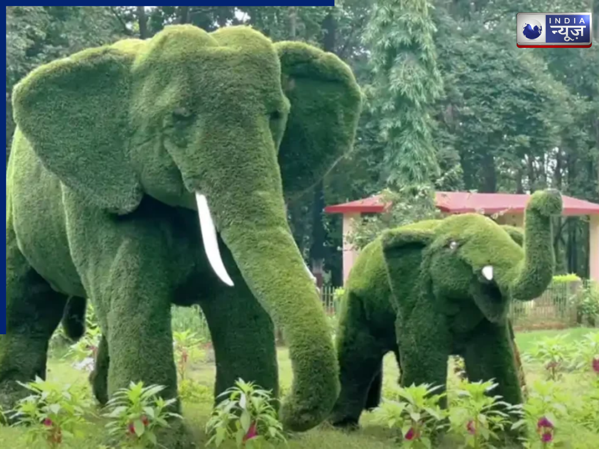 Birsa Zoological Park - Photo Gallery