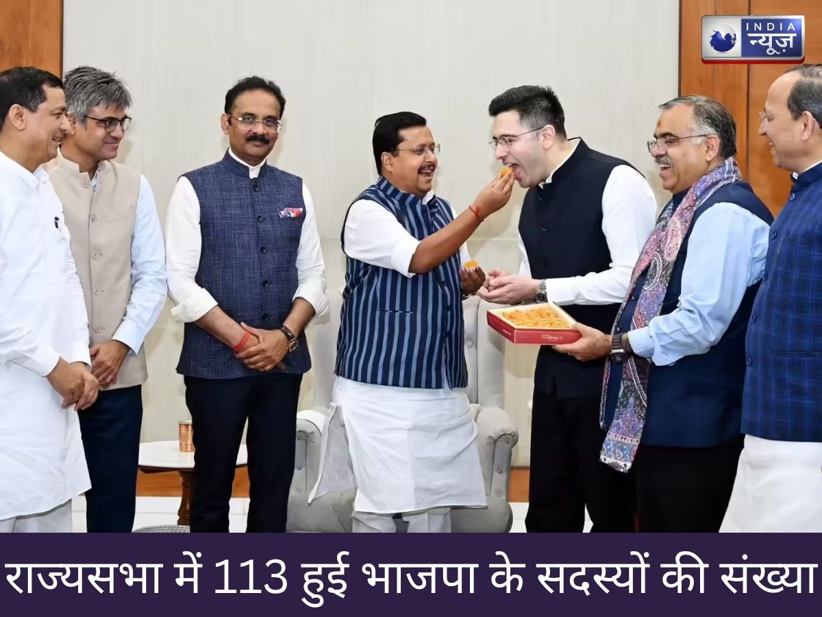 भाजपा में शामिल हुए 7 RS सांसदों को राज्यसभा के सभापति की मंजूरी, यहां देखें BJP के सभी 113 सदस्यों की लिस्ट