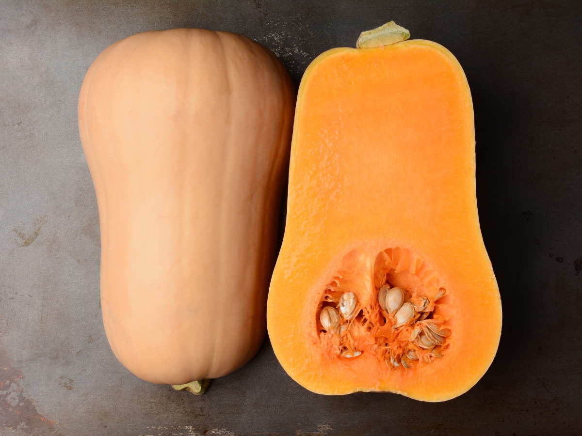 Butternut Squash - Photo Gallery