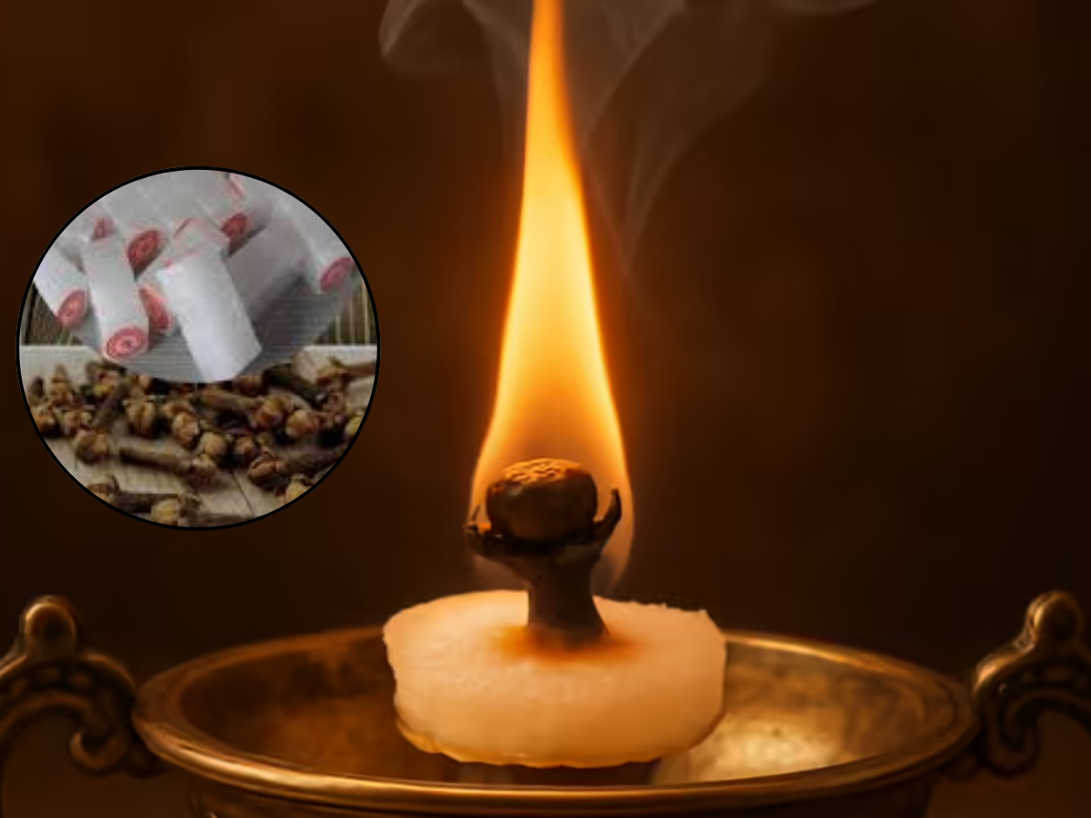 camphor and clove - Photo Gallery