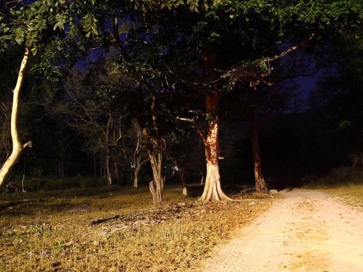 Delhi Cantonment - Photo Gallery