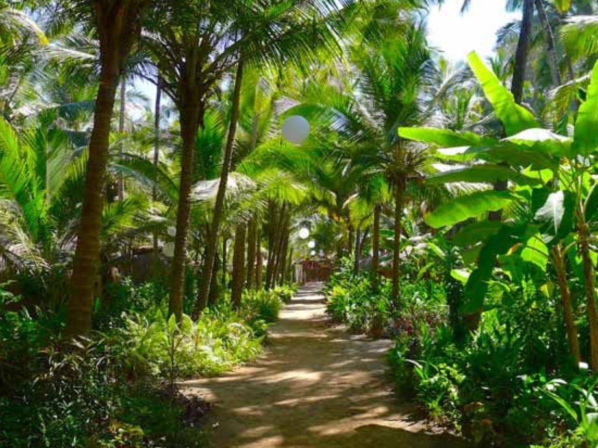 Company Garden - Photo Gallery