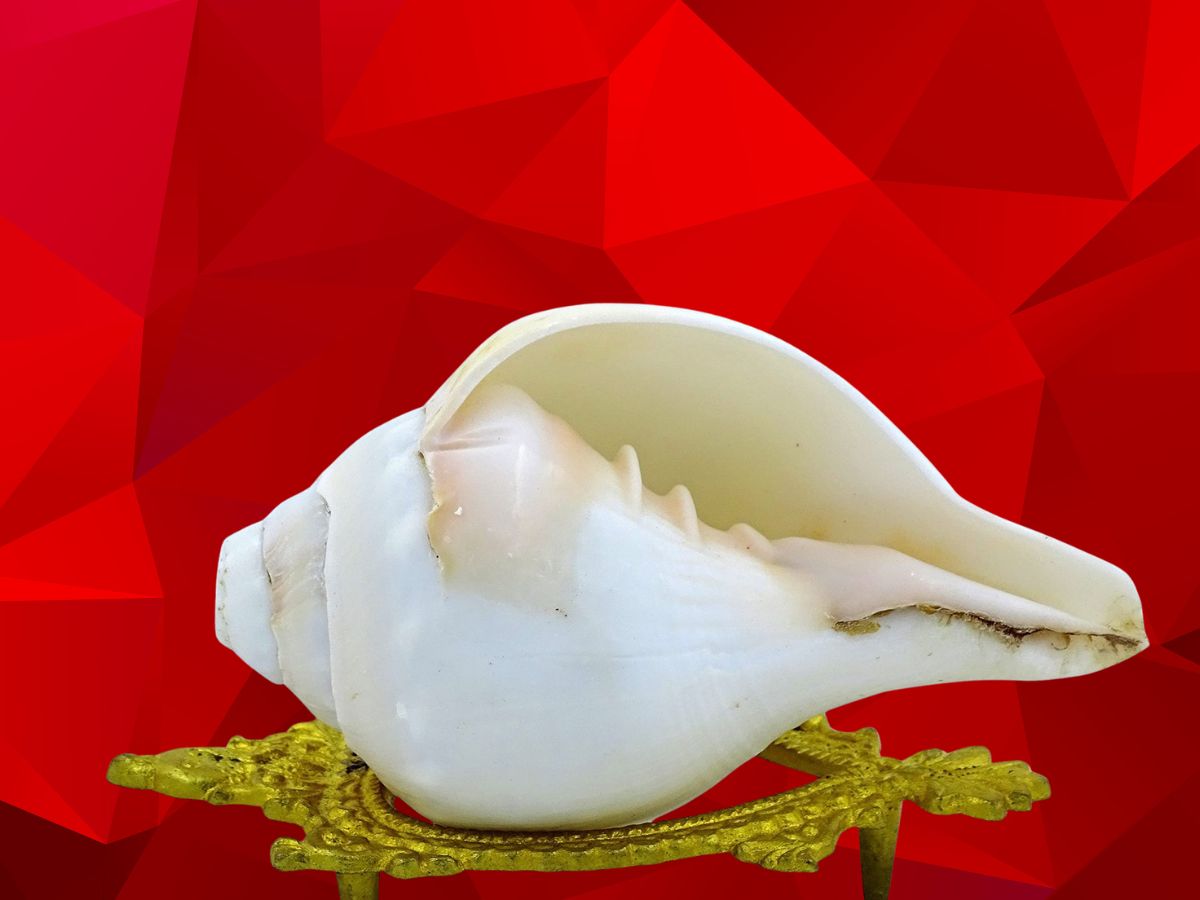 Shankh in Puja Room - Photo Gallery