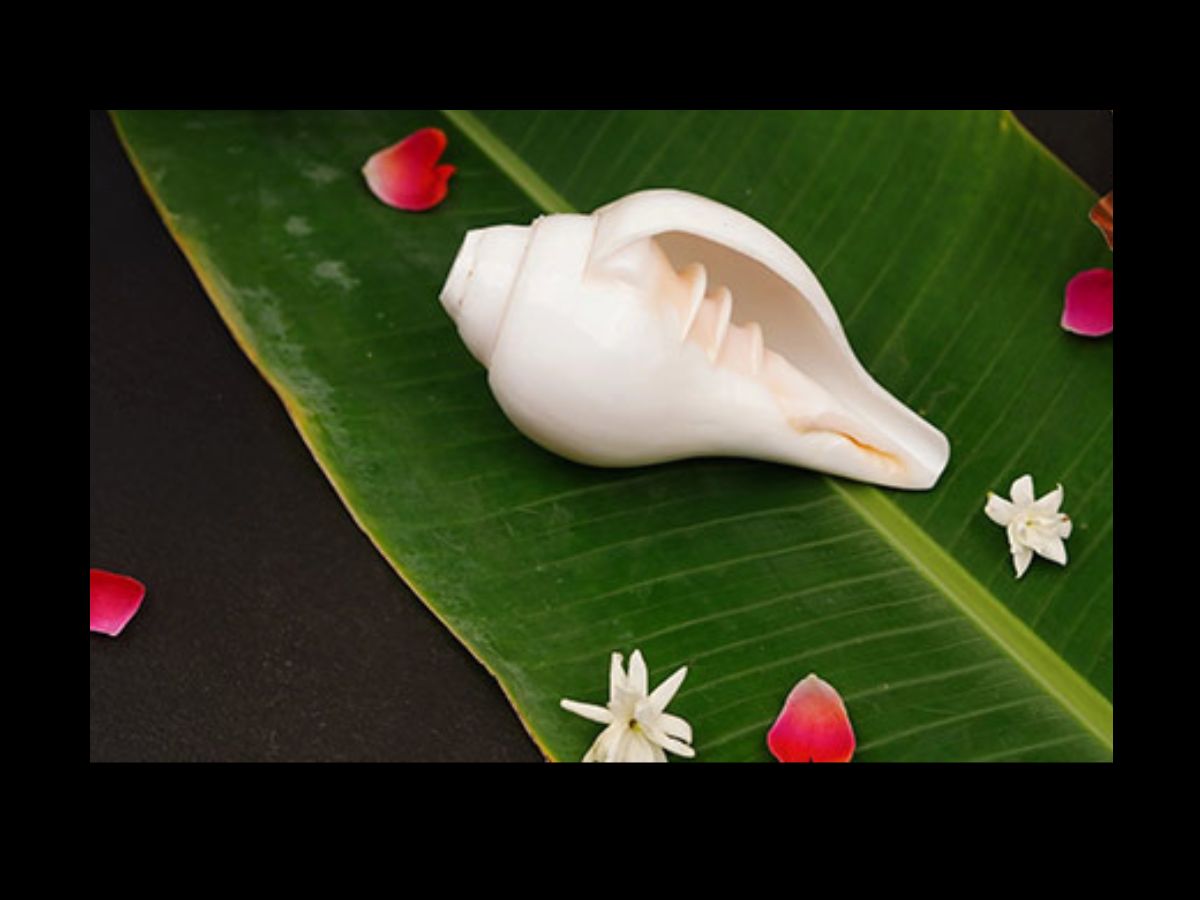 Shankh in Puja Room - Photo Gallery