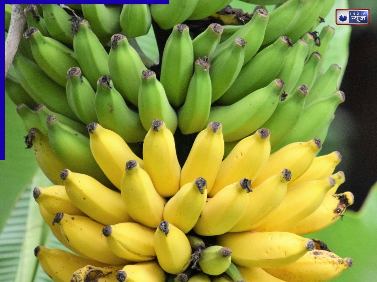 Temperature - Photo Gallery