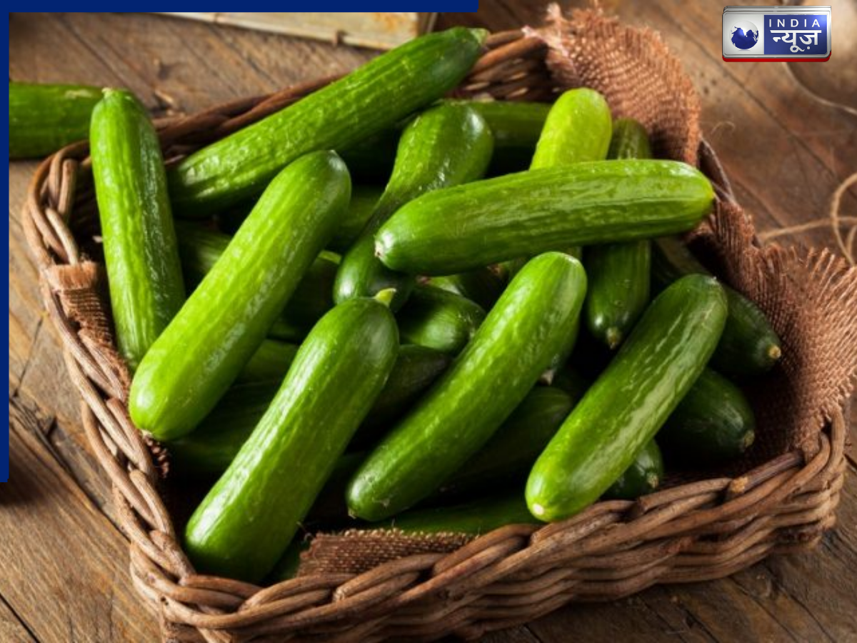 Cucumber Helpful in repairing cells - Photo Gallery