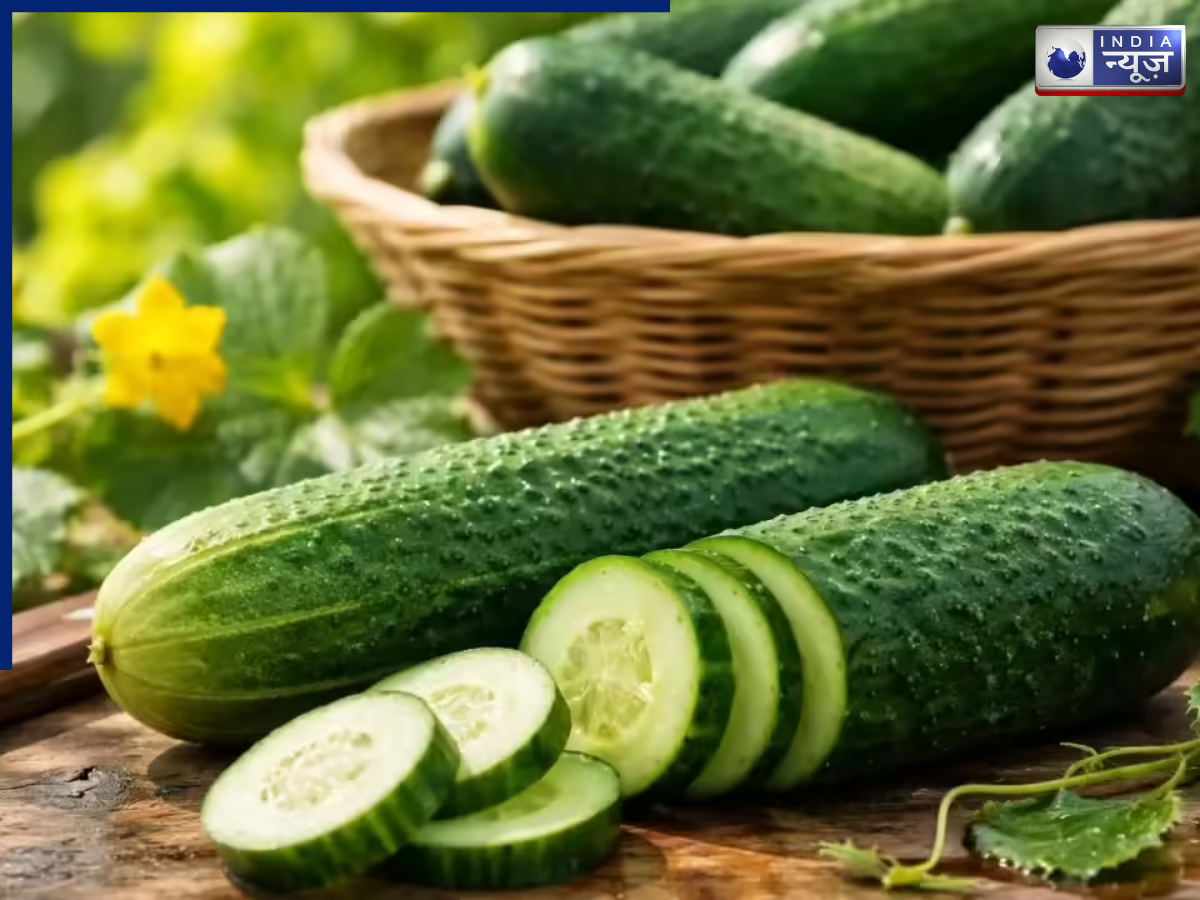 Cucumber - Photo Gallery