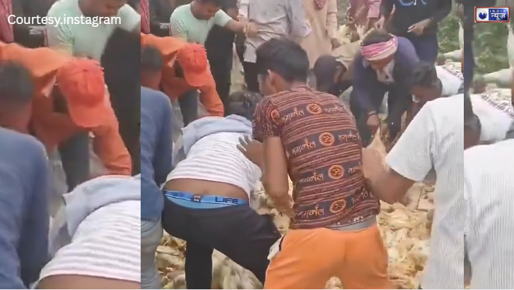 मौत पर टूटी भीड़, पोल्ट्री फार्म की गाड़ी फेंकने आई थी ‘मरे हुए मुर्गे’, लोग कर रहे है मुफ्त के चक्कर में सेहत के साथ खिलवाड़?