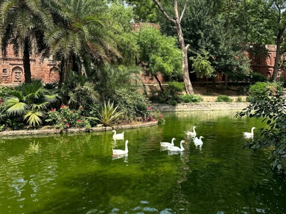 Deer Park - Photo Gallery