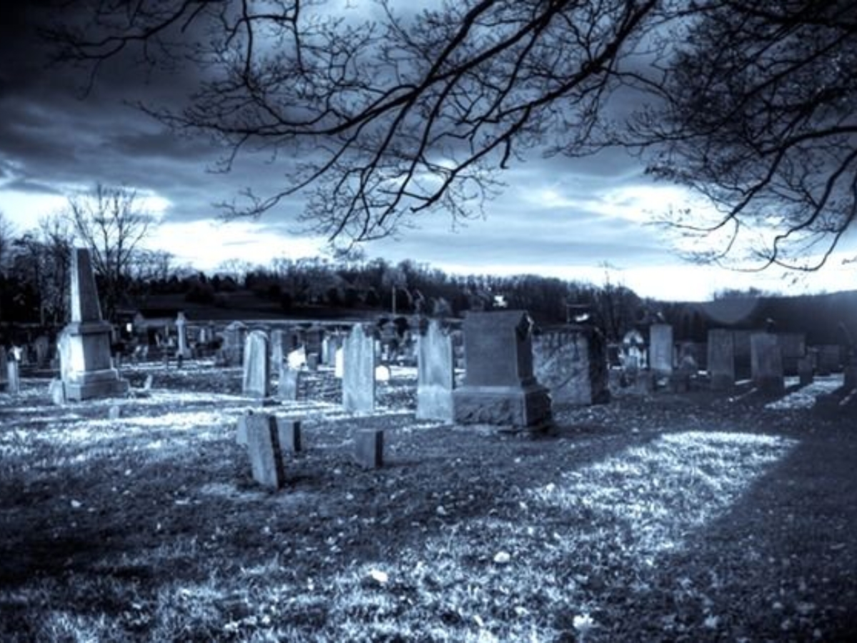 Delhi Cantt - Photo Gallery