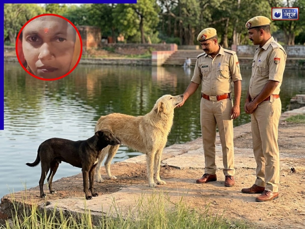 लावारिस कुत्तों ने सुलझाई हत्या की गुत्थी! पुलिस को दिखाया रास्ता, ढूंढा मालकिन का शव