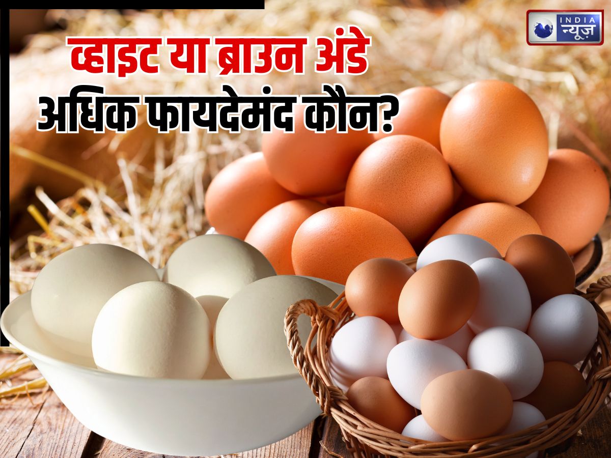 सफेद या भूरे… कौन सा अंडा सबसे बेहतर? दोनों की कीमत क्यों होती है अलग, किससे कितनी मिलेगी पौष्टिकता