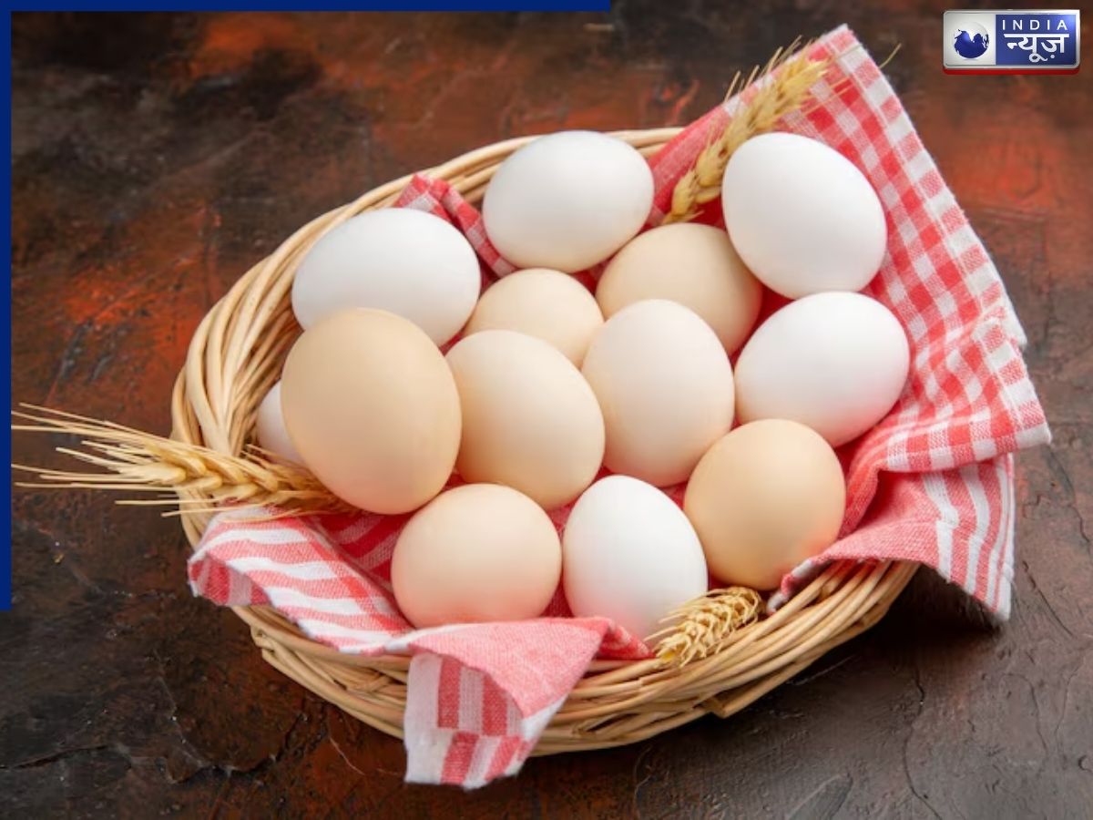 Where can you find the cheapest and most expensive eggs? - Photo Gallery