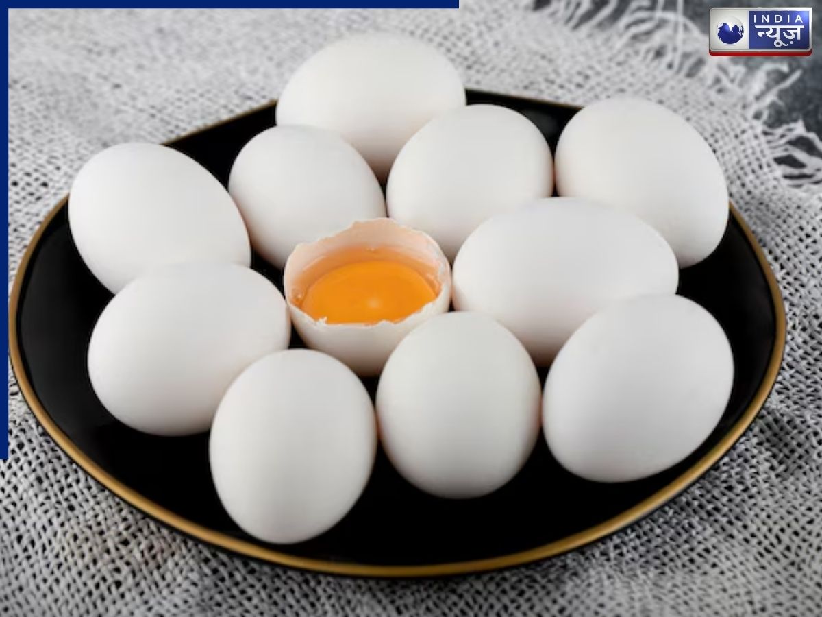 How much does a dozen eggs cost in India? - Photo Gallery