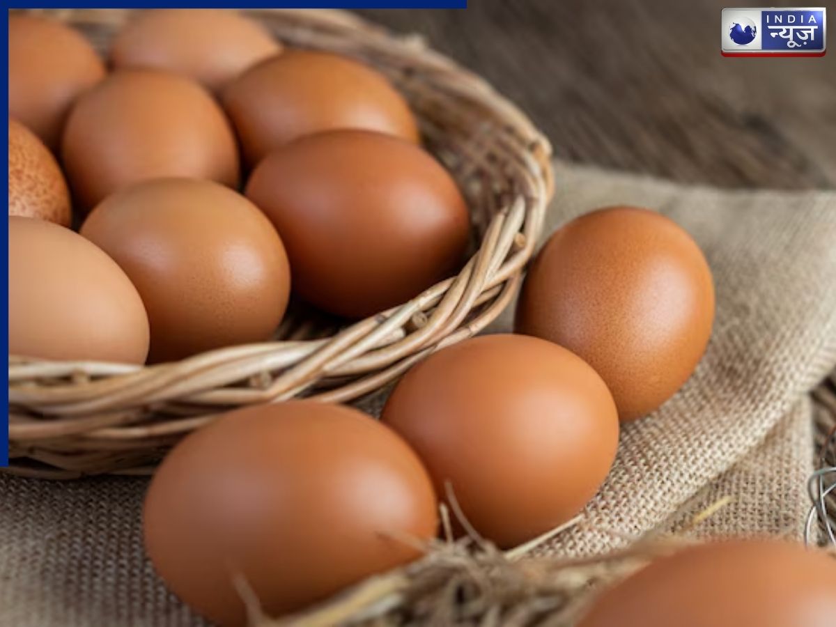 In which countries are eggs expensive? - Photo Gallery