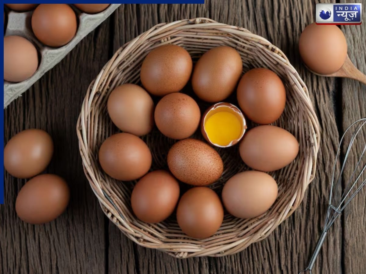 In which countries are eggs cheap? - Photo Gallery