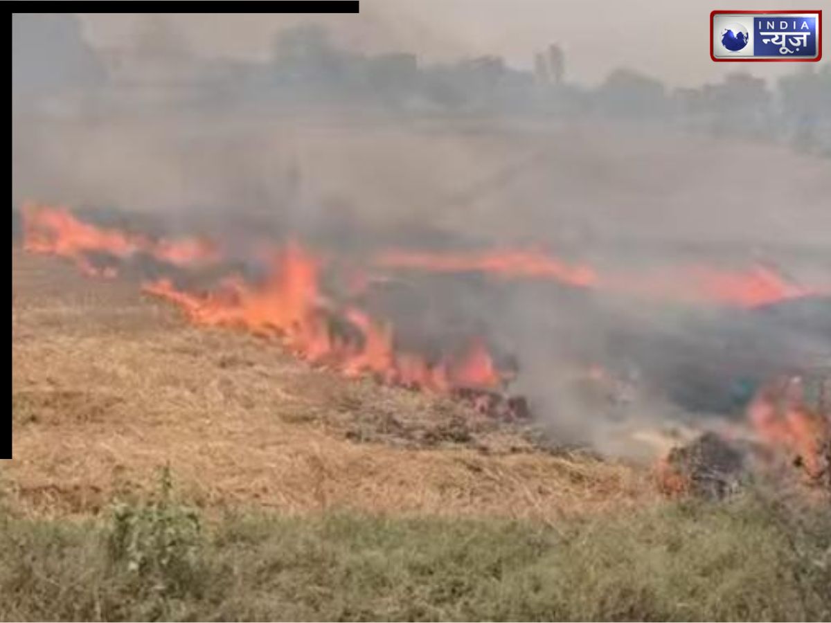 भीषण आग का तांडव, दमकल की देरी पर ग्रामीणों ने खुद संभाला मोर्चा, दहशत में सैफई के किसान