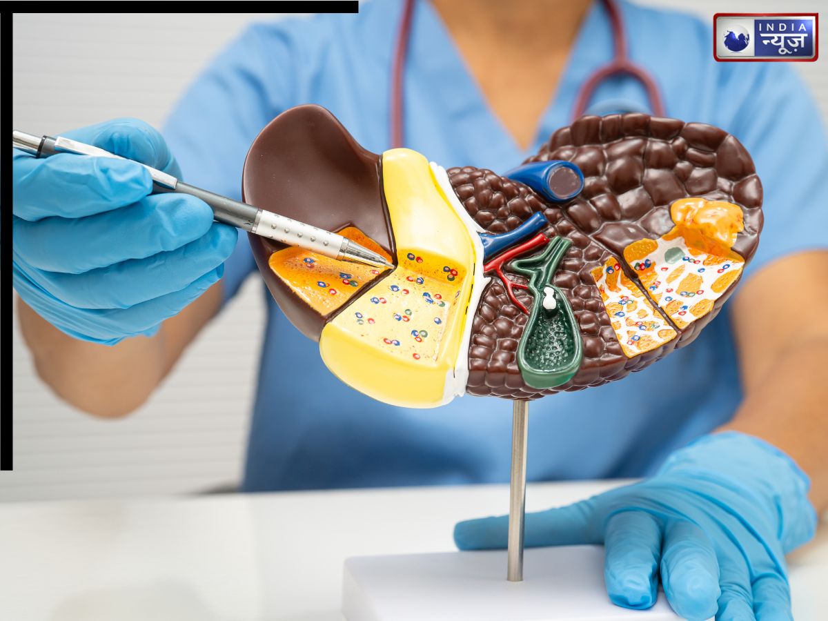 फैटी लिवर में खाना शुरू करें ये 7 चीजें, ताउम्र हेल्दी रहेगा Liver, एम्स-हावर्ड के डॉक्टर ने किया सचेत