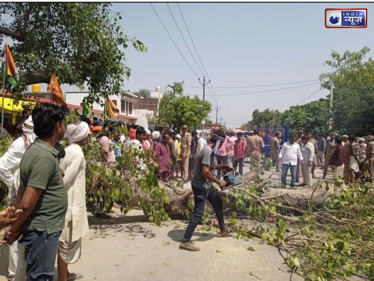 गोण्डा हादसा: चलती बाइक पर गिरा पीपल का पेड़, दो युवकों की मौत, कटर की मदद से निकालने पड़े शव - Photo Gallery