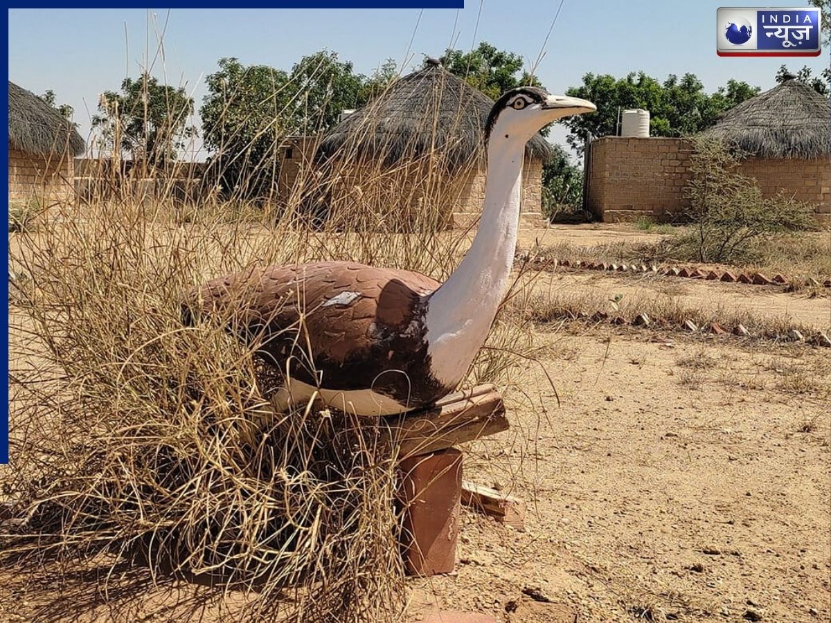 एक चूजे के लिए जेड प्लस सुरक्षा! 50 जवान, 24 घंटे पहरा और पूरे इलाके में नो एंट्री; आखिर क्या है माजरा?