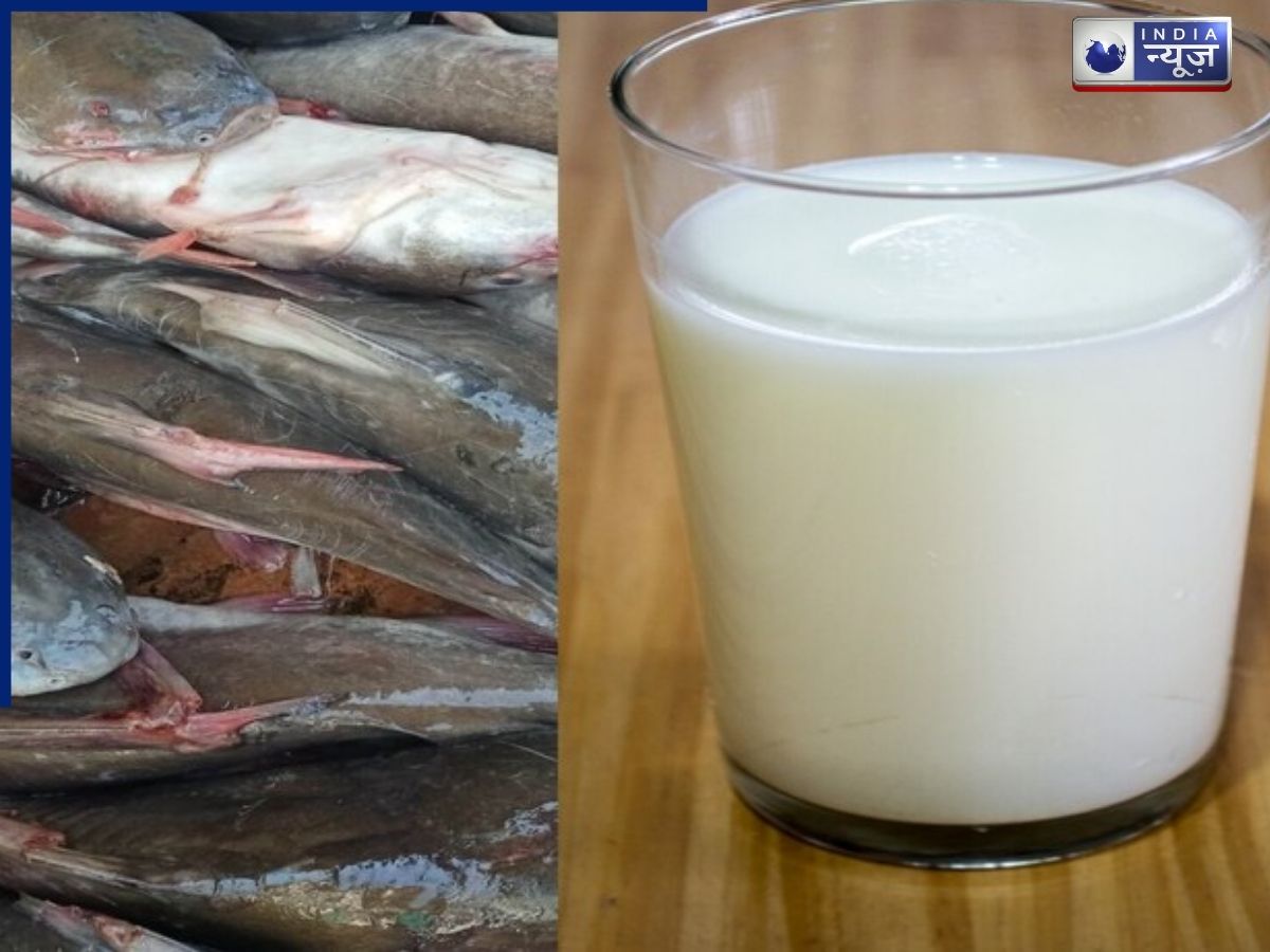 Myth vs Fact: मछली के बाद दूध पीना सही या गलत, क्या इससे होते हैं स्किन प्रॉब्लम, मिथक और तथ्य समझें
