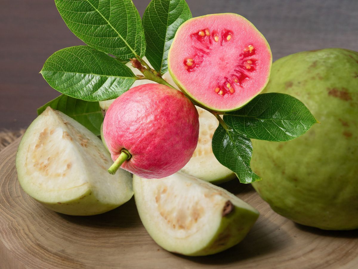Fiber-Calcium Rich Fruits like guava - Photo Gallery