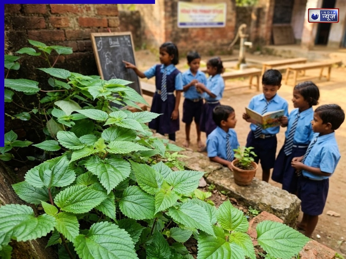 मासूमों पर क्रूर प्रयोग! स्कूल में हुई घटना से मचा हड़कंप, जंगली पौधे से दी सजा; हेडमास्टर निलंबित