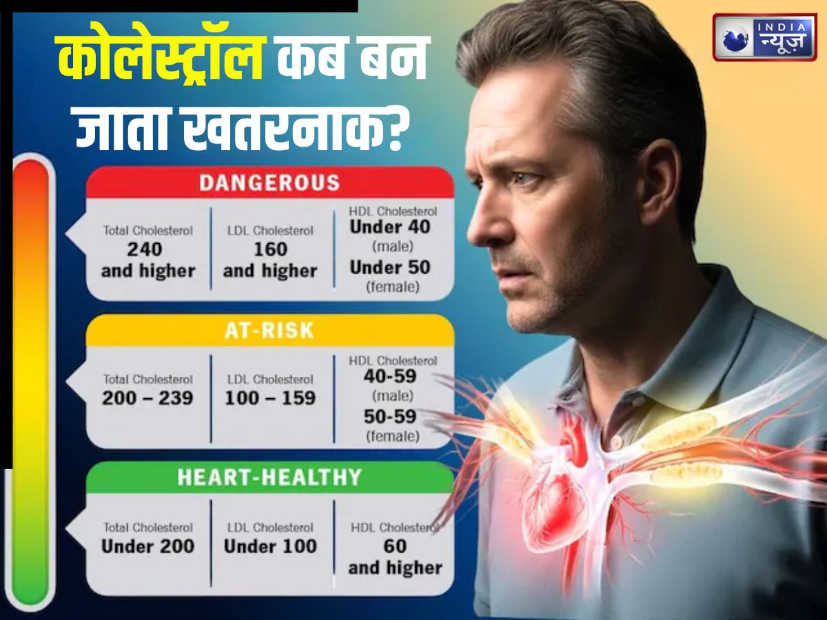 अगर कोलेस्ट्रॉल 270 चला जाए तो क्या होगा? उम्र के हिसाब से कितना होना चाहिए, इसे कैसे करें कंट्रोल