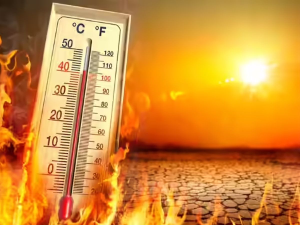 heatwave - Photo Gallery