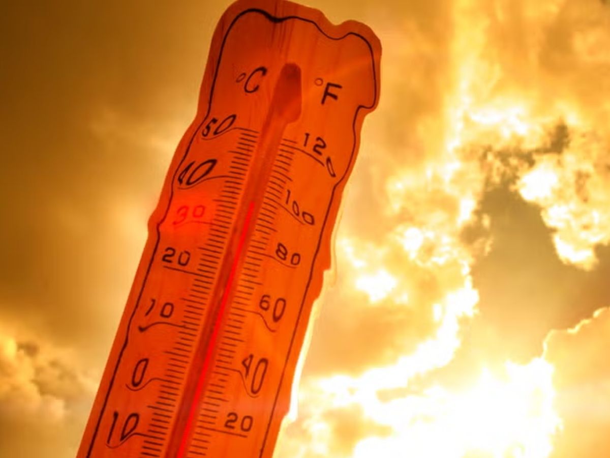 क्लाइमेट चेंज की दस्तक - Photo Gallery