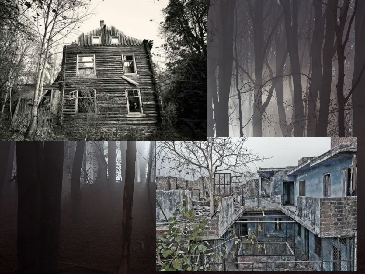 House No W 3 - Photo Gallery