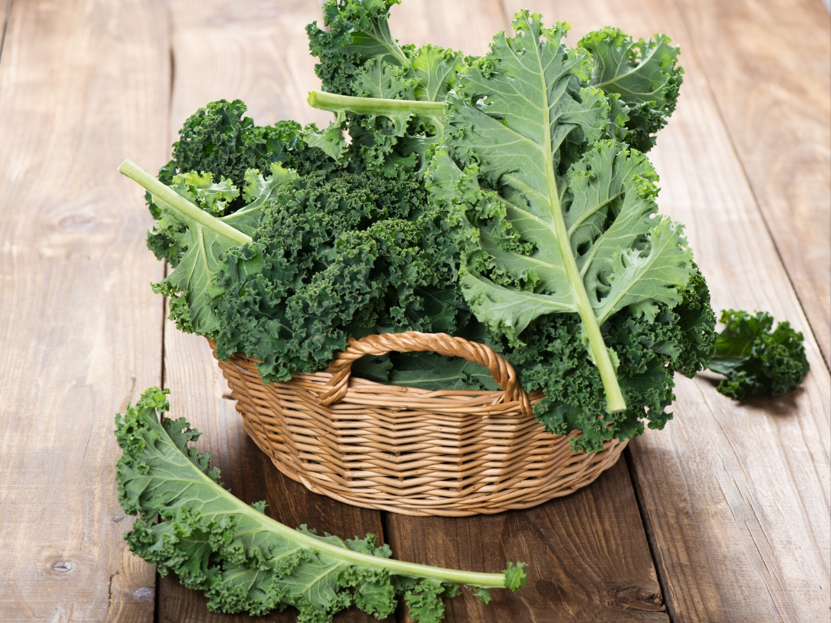 Kale - Photo Gallery