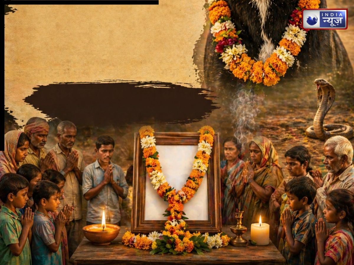 सांप के सामने नहीं डरा चार टांगों वाला ‘काली’, 30 बच्चों के लिए बन गया फरिश्ता, कहानी कर देगी हैरान