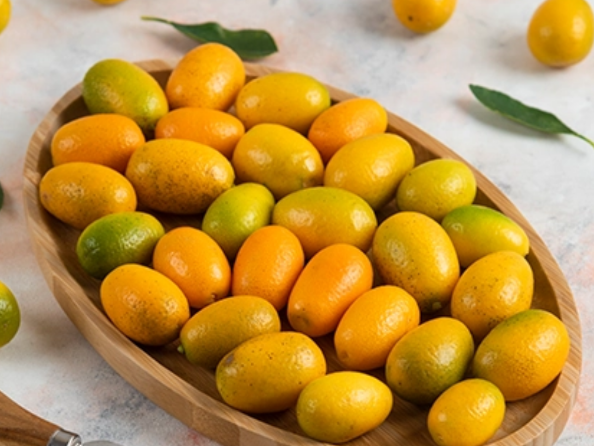 khirni - Photo Gallery