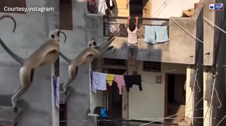 ‘बजरंगबली’ का चमत्कार या AI का खेल? बालकनी से गिर रहे बच्चे के लिए ‘मसीहा’ बना बंदर, रोंगटे खड़े कर देने वाला वीडियो वायरल!