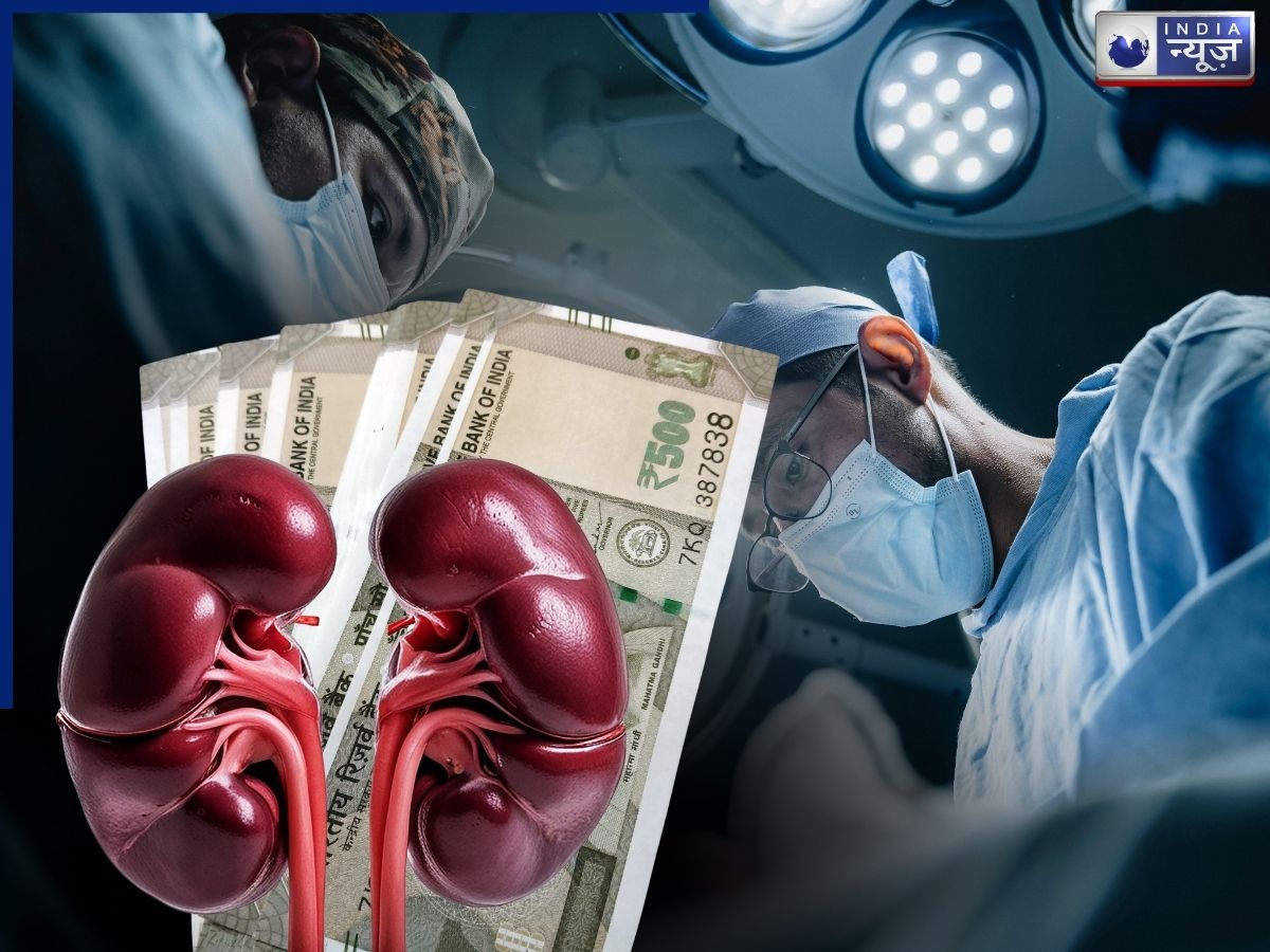 मामूली कीमत बता 9000000 में बेची जा रही थी स्टूडेंटों की किडनी, सिर्फ 50 हजार ने बिगाड़ दिया खेल; किडनी रैकेट का बड़ा खुलासा