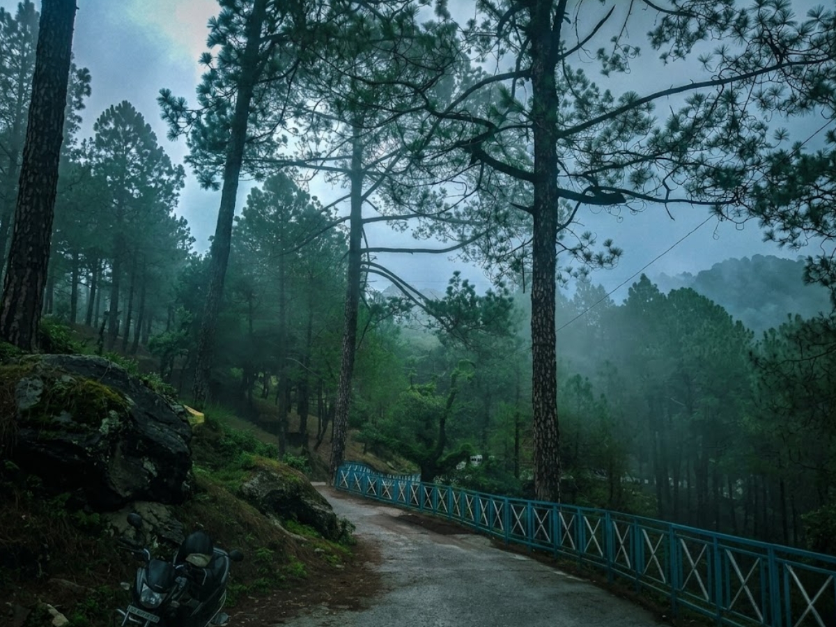 lansdown - Photo Gallery