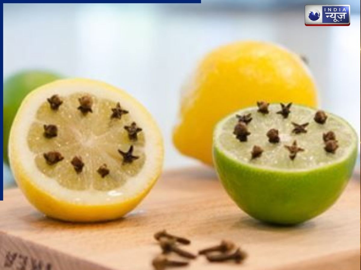 क्या नींबू और लौंग सच में भगाते हैं मच्छर? गर्मियों में ये देसी उपाय करेगा कमाल या है सिर्फ मिथक