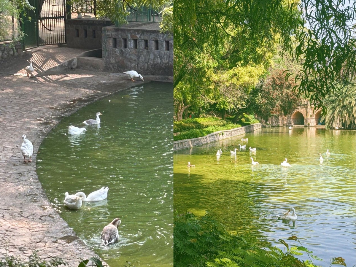 Lodhi Garden - Photo Gallery