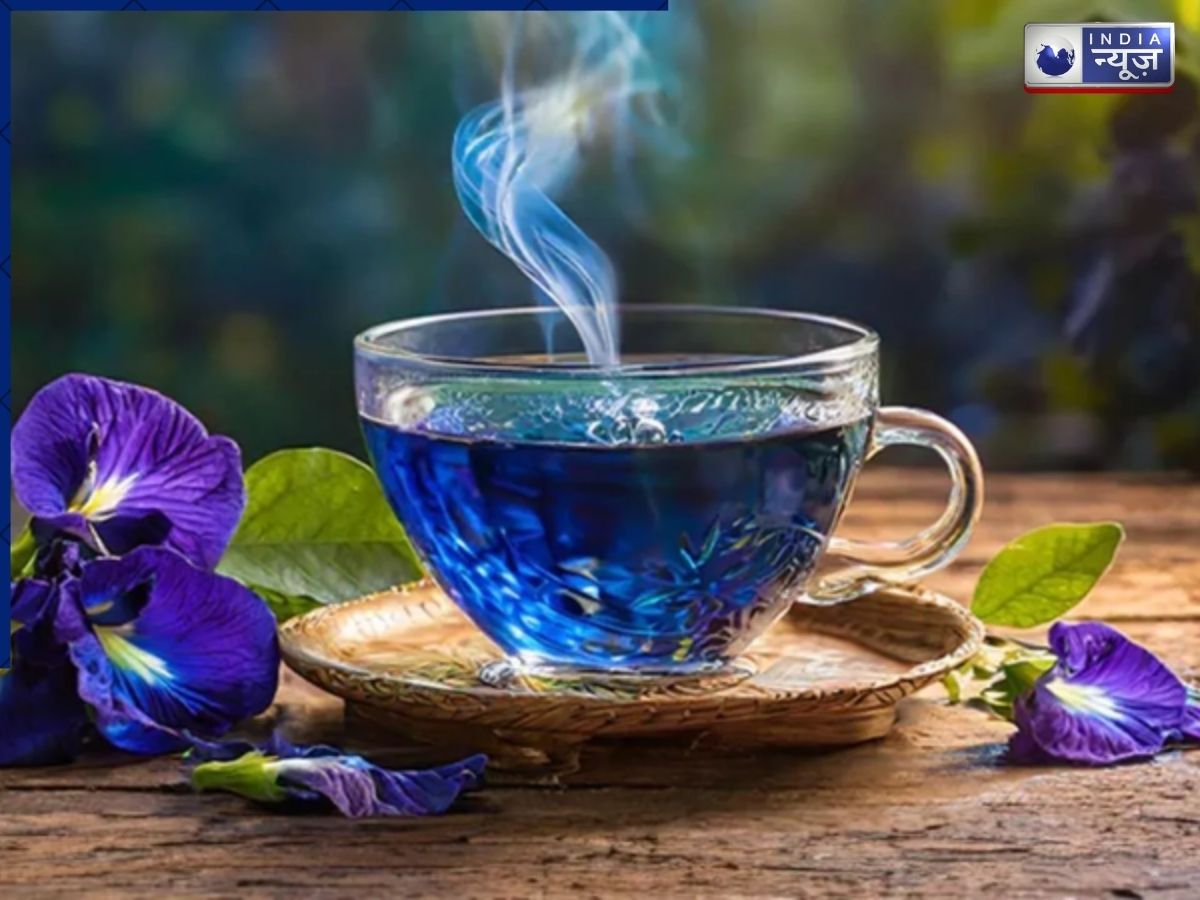Blue Tea: ब्लू टी क्यों हो रही है ट्रेंड? सुबह पीने से मिलते हैं ये 5 फायदे, हेल्थ के लिए है सुपरड्रिंक