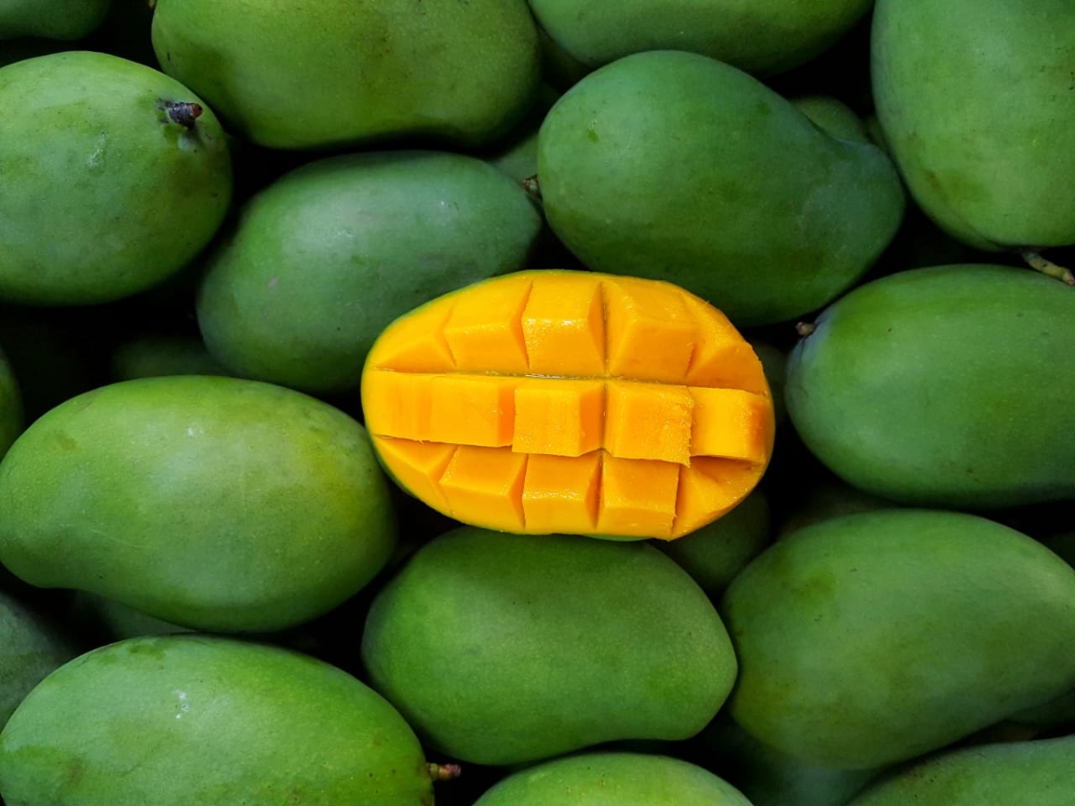 Diabetic patients should not eat mangoes - Photo Gallery