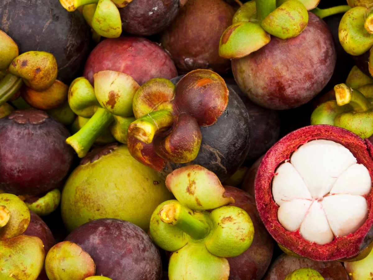 mangosteen - Photo Gallery