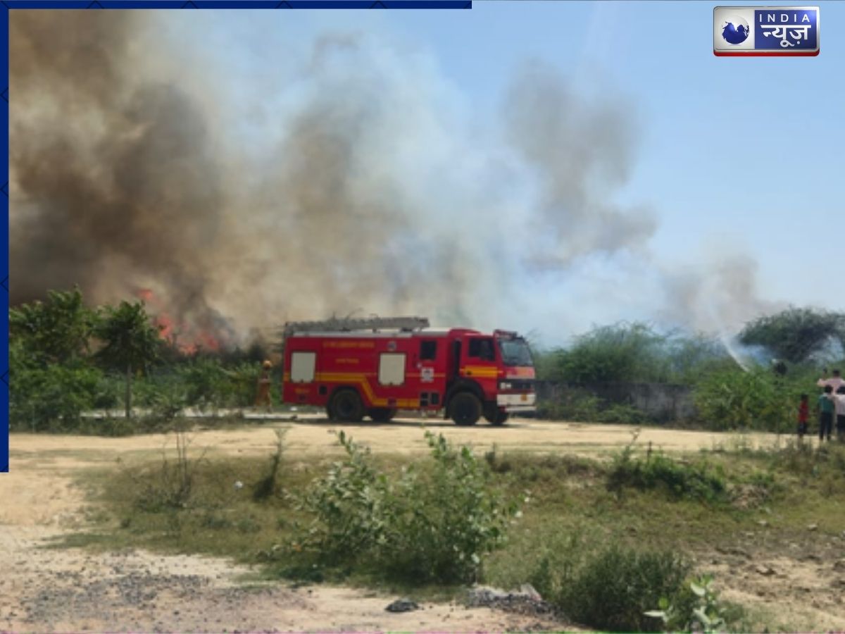 UP: मथुरा में वेटरनरी कॉलेज के जंगल में लगी भीषण आग, 3 घंटे से धधकती लपटों से इलाके में दहशत