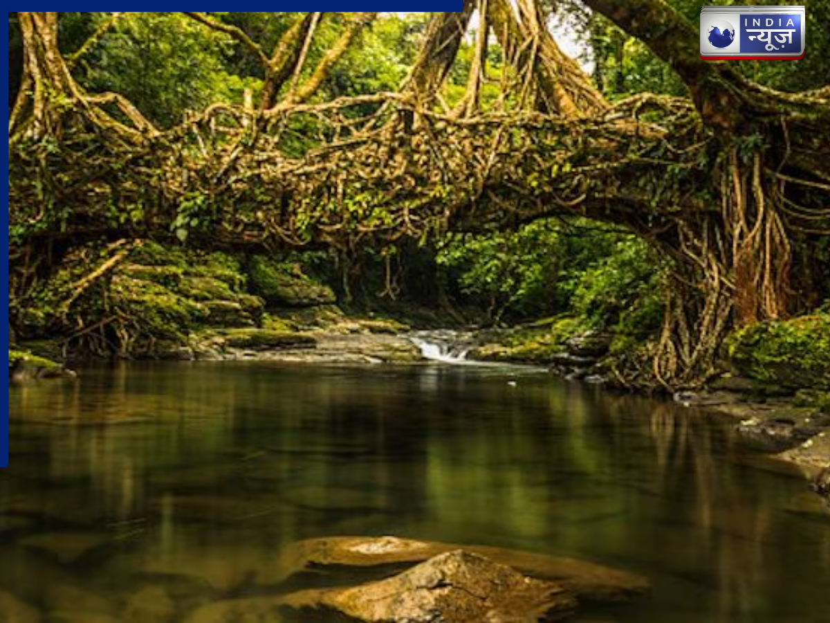 Mawlynnong of Meghalaya - Photo Gallery