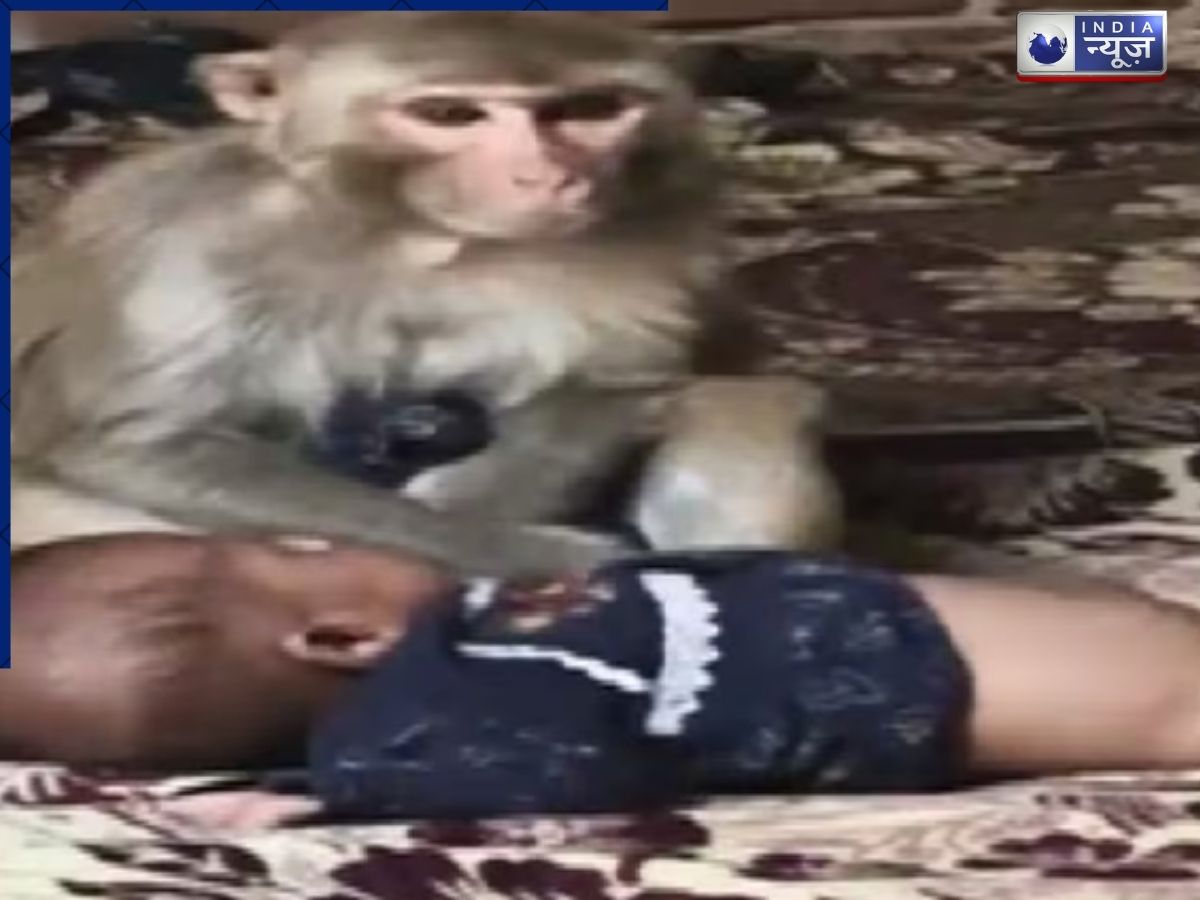 Muzaffarnagar: एक घंटे तक बच्ची को ‘बंधक’ बनाए रहा बंदरिया, कैसे मोबाइल फोन ने बचाई जान