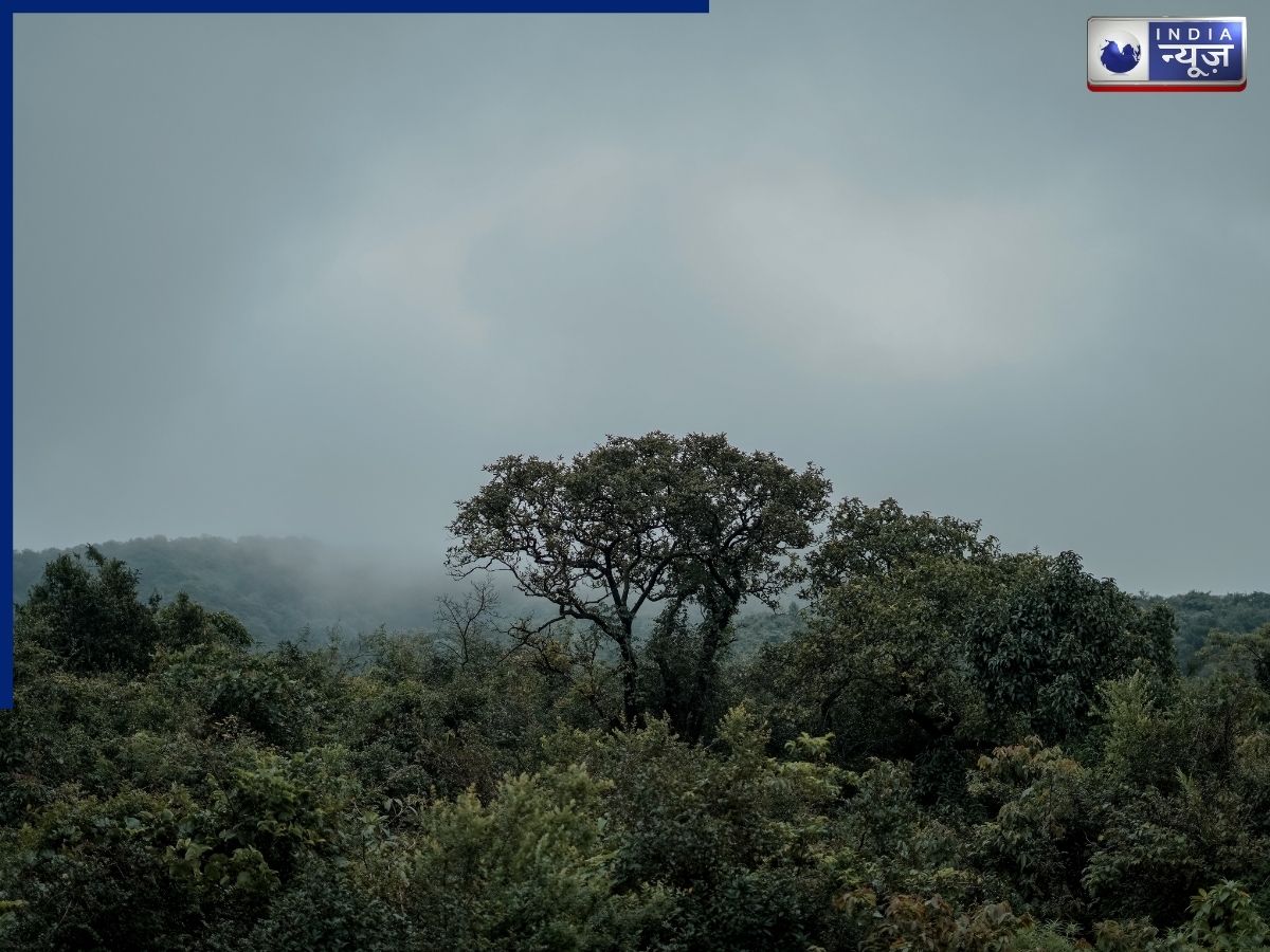 मानसून से पहले मौसम विभाग ने बढ़ा दी टेंशन, 8 फीसदी कम बारिश होने का अनुमान; फसलों पर पड़ेगा असर?