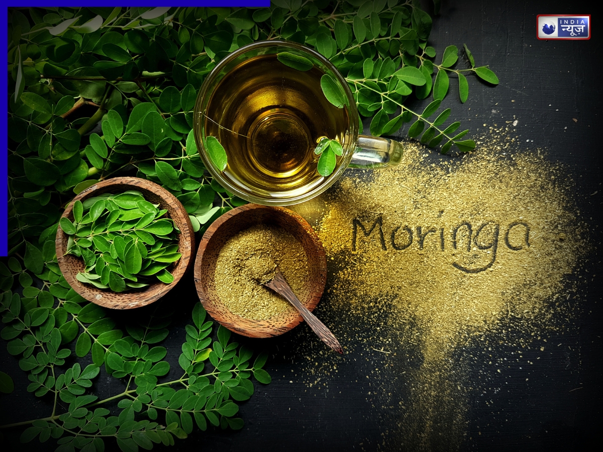 देसी मल्टीविटामिन: हजारों के सप्लीमेंट फेल, 10 रुपये का सहजन पास! जानिए कैसे यह एक पत्ती मिटाती है 300 बीमारियां